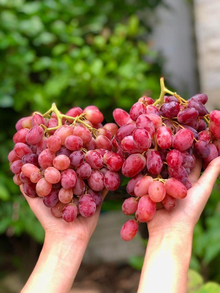 ChuFruits
