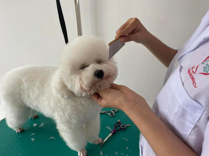 Bệnh viện thú y Bảo Minh Châu