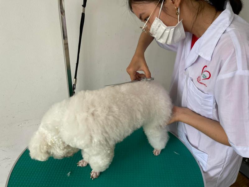 Bệnh viện thú y Bảo Minh Châu