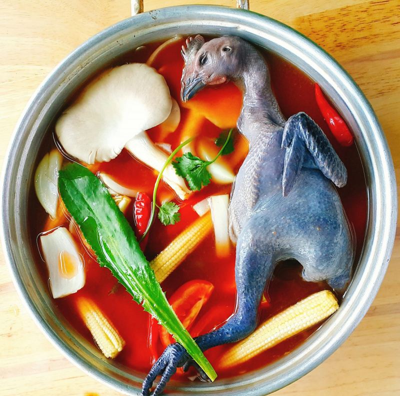 Gà Ác Dương Gia Quán