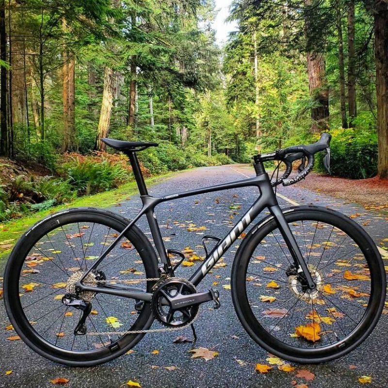 GIANT