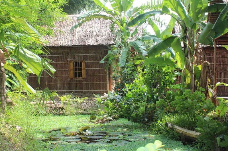 Green Village Homestay
