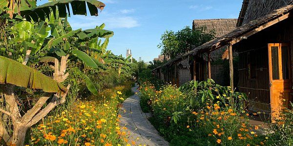 Green Village Homestay