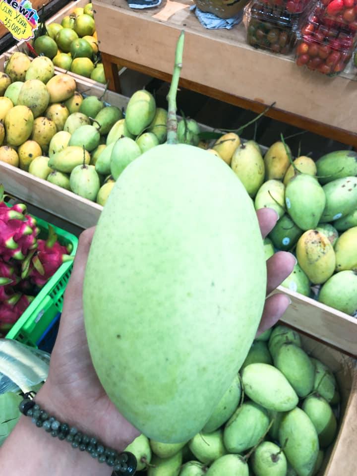 HTX Nông Sản Xanh Cần Thơ