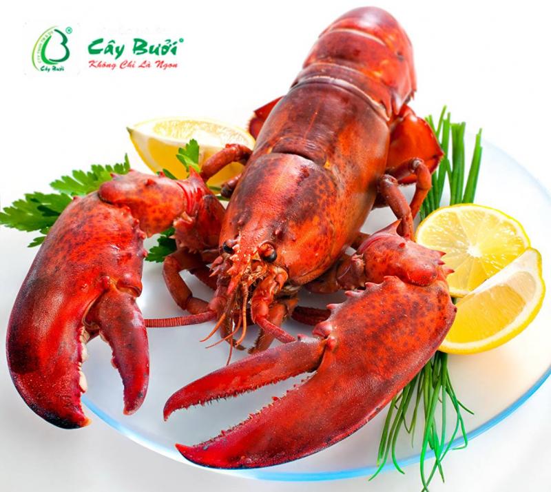 Nhà Hàng Cây Bưởi