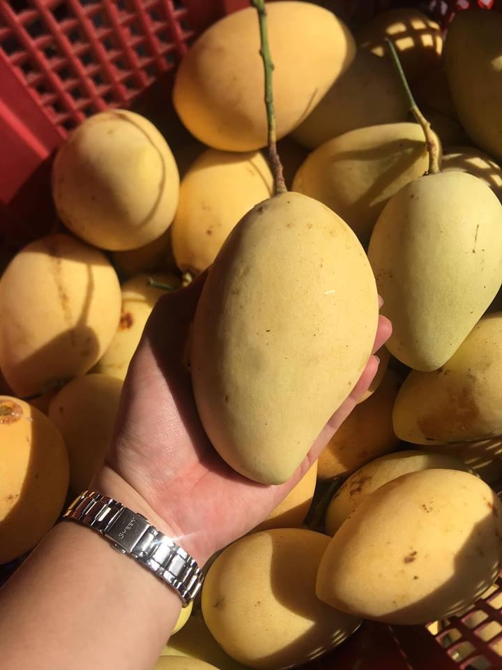 Nông sản sạch Đại Thuận Thiên