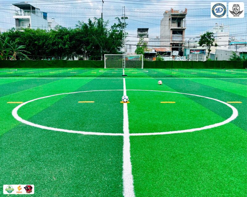 Sân cỏ nhân tạo Đại Sơn