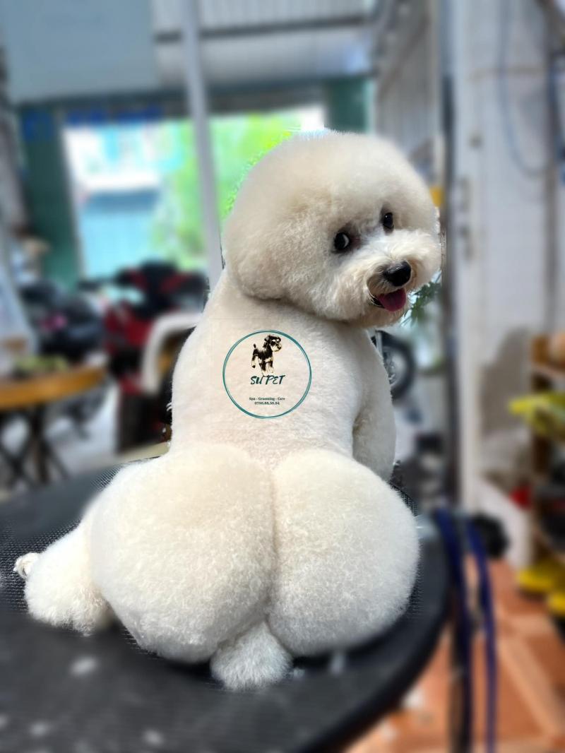 Supet Spa - Grooming & Hotel