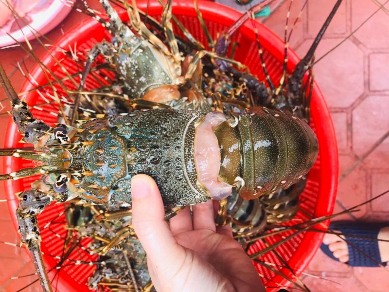 Vựa Cua Đăng Quân