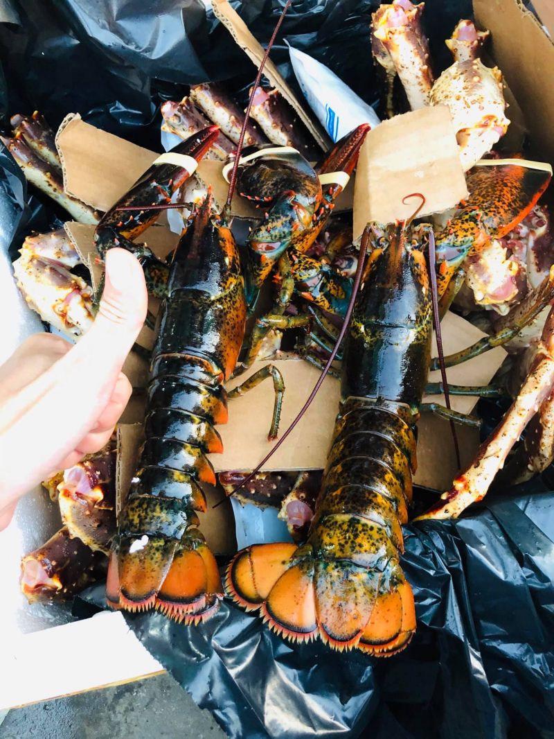 Vựa Hải Sản Kha Seafoods